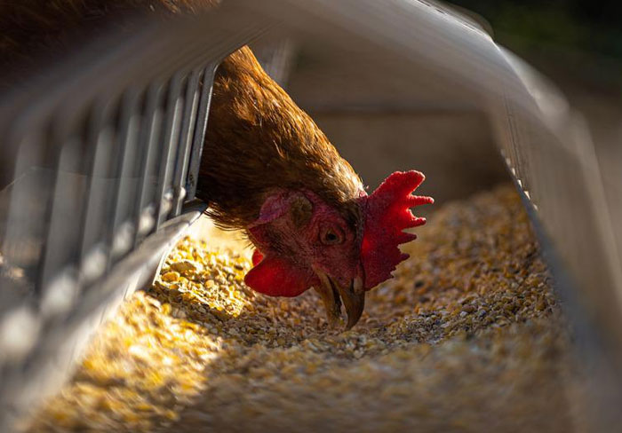 30 People Share Their Absolute Worst Homeowner Association Stories