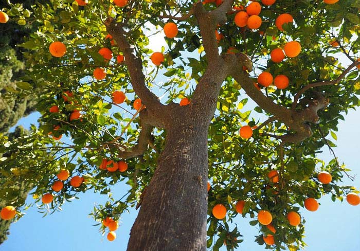 30 People Share Their Absolute Worst Homeowner Association Stories