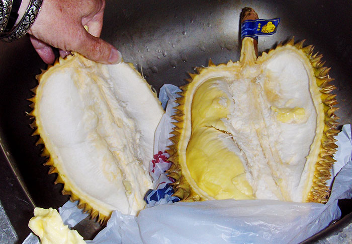 35 Weird Foods That We Now Know Are Edible, But It’s Surprising How Our Ancestors Found That Out, As Pointed Out By Folks Online - 20