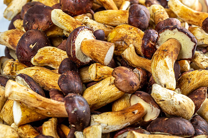 35 Weird Foods That We Now Know Are Edible, But It’s Surprising How Our Ancestors Found That Out, As Pointed Out By Folks Online - 9