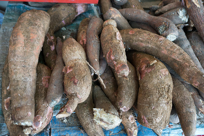 35 Weird Foods That We Now Know Are Edible, But It’s Surprising How Our Ancestors Found That Out, As Pointed Out By Folks Online - 11