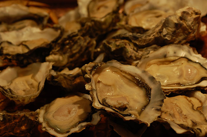 35 Weird Foods That We Now Know Are Edible, But It’s Surprising How Our Ancestors Found That Out, As Pointed Out By Folks Online - 1