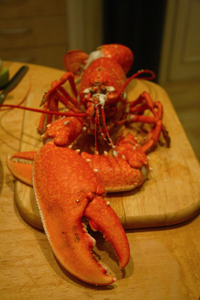 35 Weird Foods That We Now Know Are Edible, But It’s Surprising How Our Ancestors Found That Out, As Pointed Out By Folks Online - 4