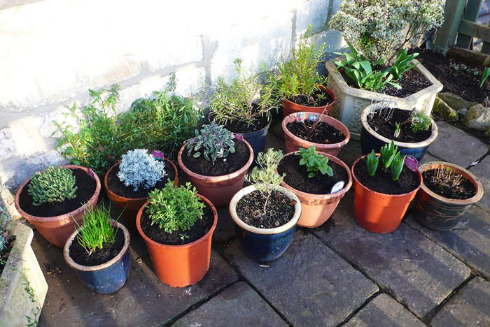 &ldquo;It Made Me Wanna Cry&rdquo;: 16 Y.O. Continues To Not Talk To His Dad Even On His Birthday After He Threw Out All Of His Son&rsquo;s Plants