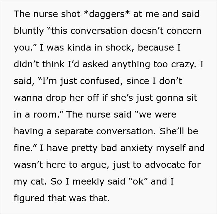 “AITA For Firing My Vet After The Way The Nurse Spoke To Me?” - 4