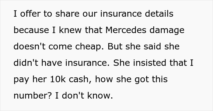 Karen Calls The Cops On Driver She Crashed Into, Regrets It After They See The Surveillance Footage - 7