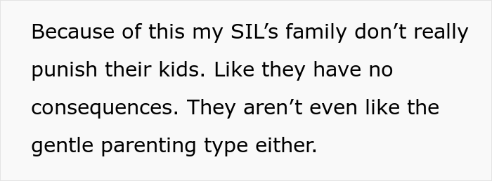 Woman Makes Her Sister-In-Law Cry When She Tells Her “I Told You So” After Her Nephew Ruins Her Wedding As She Predicted Woman Makes Her Sister-In-Law Cry When She Tells Her “I Told You So” After Her Nephew Ruins Her Wedding As She Predicted