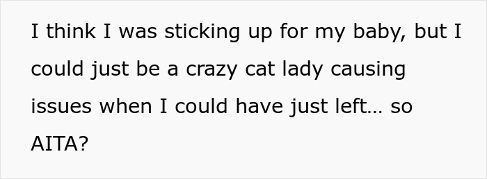 “AITA For Firing My Vet After The Way The Nurse Spoke To Me?” - 10