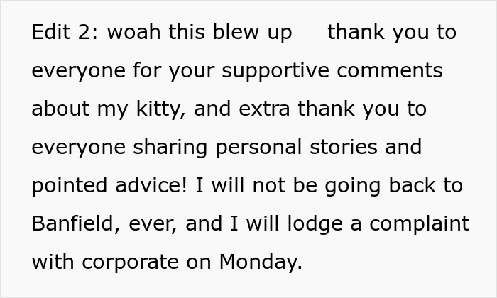 “AITA For Firing My Vet After The Way The Nurse Spoke To Me?” - 11