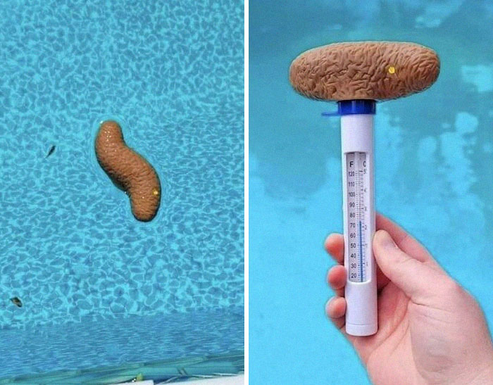 Poo(L) Thermometer