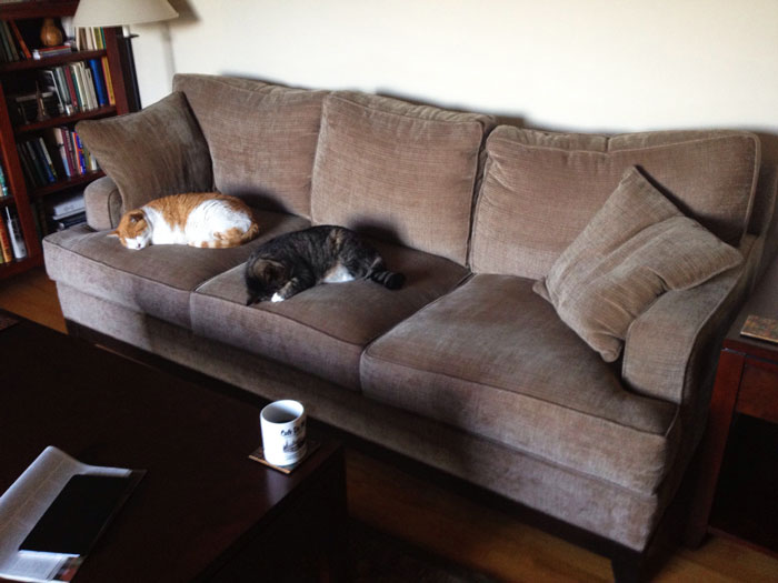 "I Offered To Let My Mom Live With Me Under The Exact Same Terms I Lived With Her As A Teen"