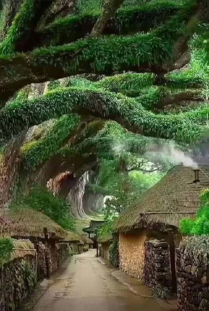 Abandoned Village In Korea