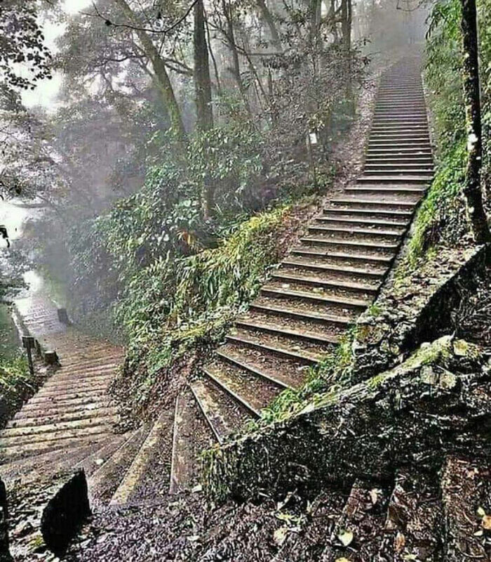 Abandoned Stairs