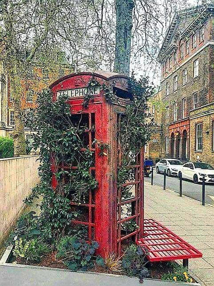 Abandoned Telephone Cabin