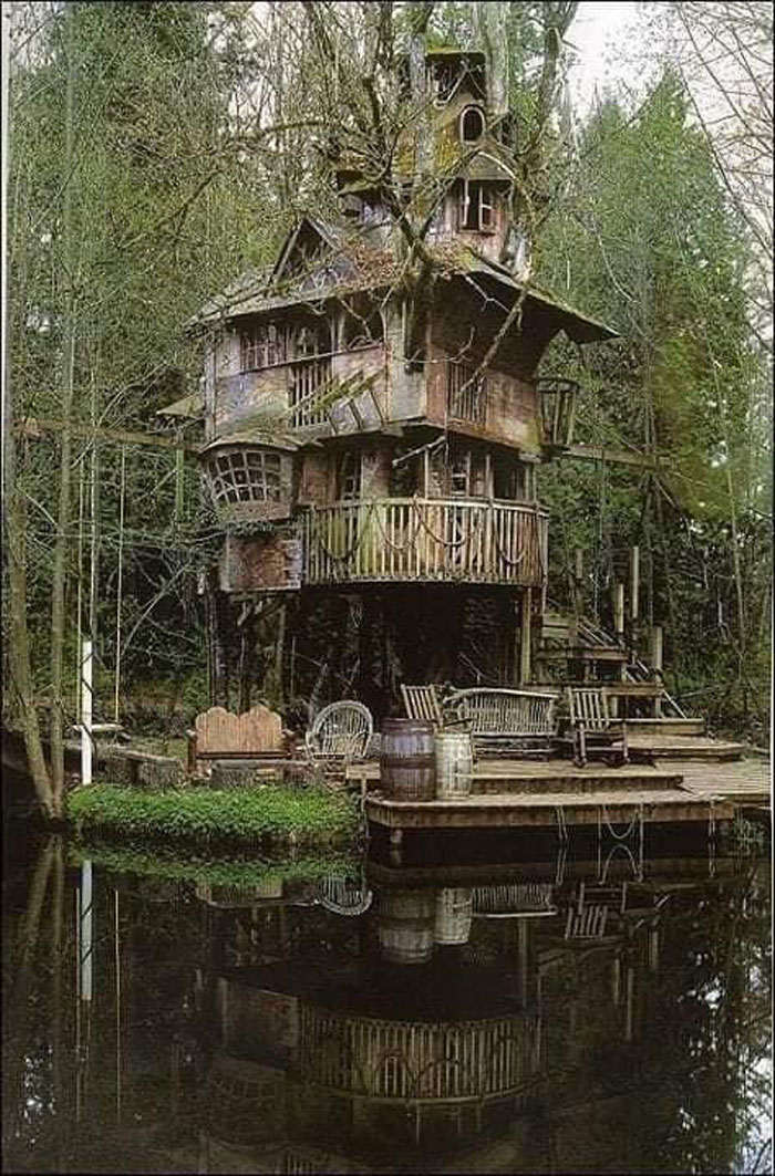 Abandoned Tree House Redmond Washington D.c