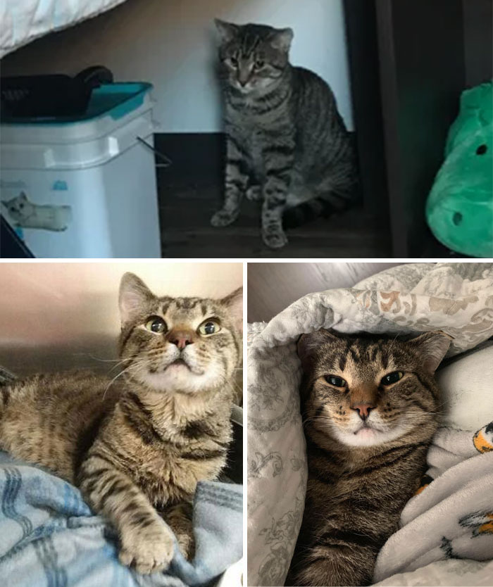 My Disabled Boy Was Abandoned At A Shelter. Now His Biggest Problem Is Deciding Whether He’ll Sleep On My Face Or My Feet