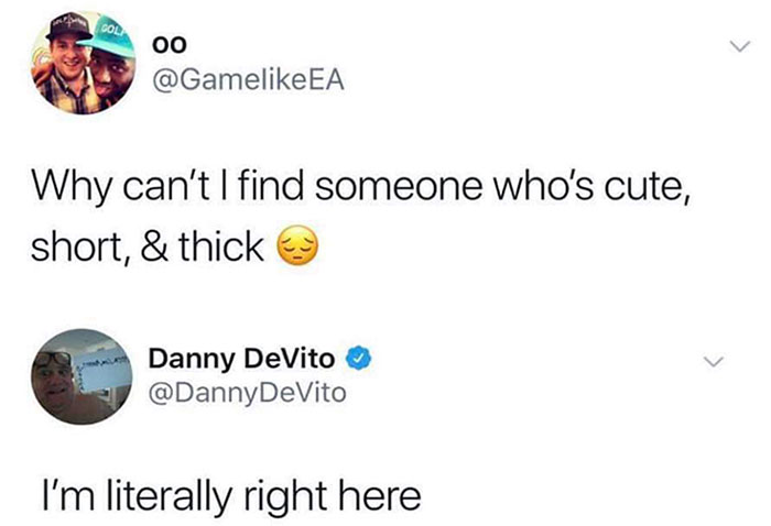 Dream Body. Danny DeVito