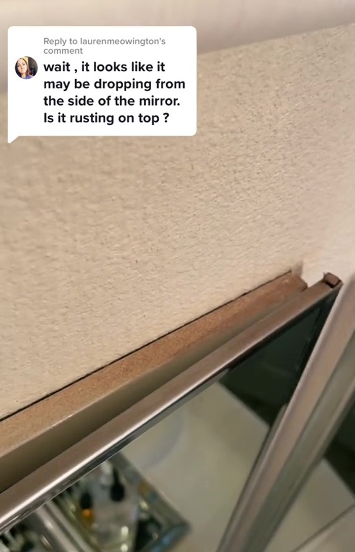 Woman Records Her Efforts To Find Out What Is The Cause Of Her Bathroom Cabinet &ldquo;Bleeding&rdquo;, Asks The Internet For Help