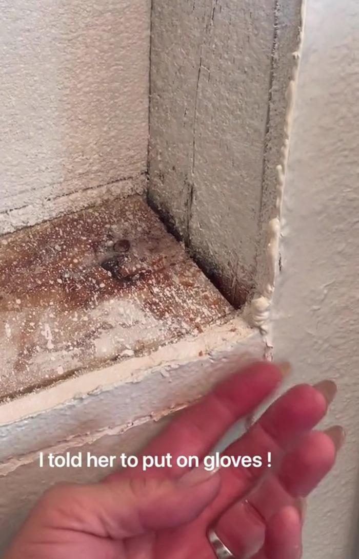 Woman Records Her Efforts To Find Out What Is The Cause Of Her Bathroom Cabinet &ldquo;Bleeding&rdquo;, Asks The Internet For Help