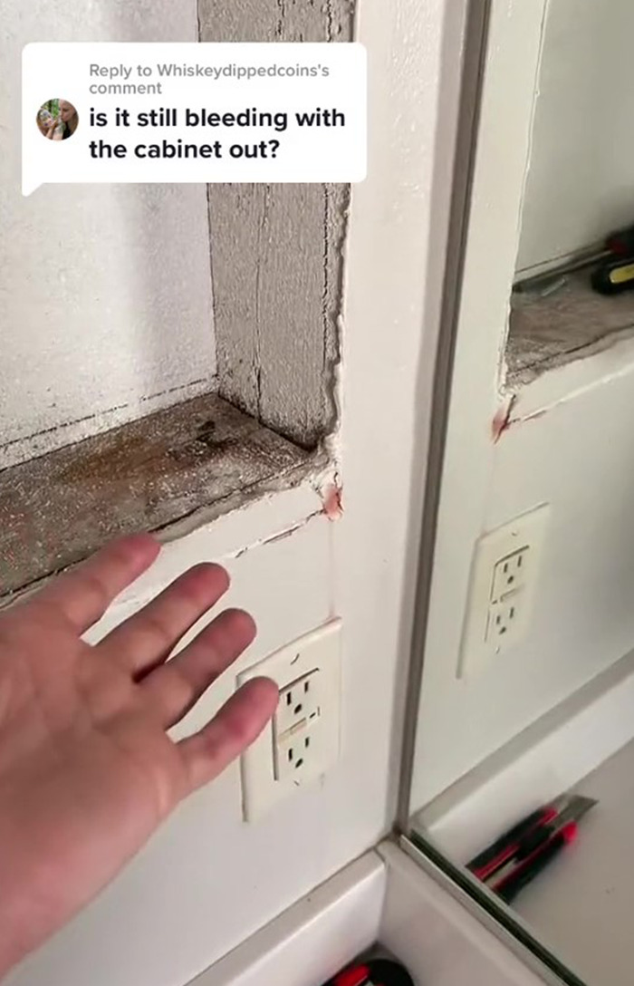 Woman Records Her Efforts To Find Out What Is The Cause Of Her Bathroom Cabinet &ldquo;Bleeding&rdquo;, Asks The Internet For Help
