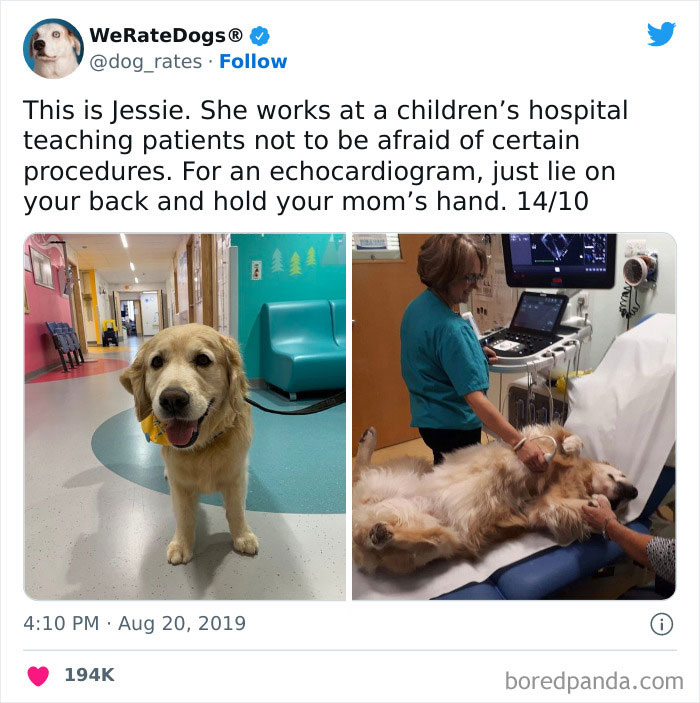 Where Was Jessie When I Got An Mri