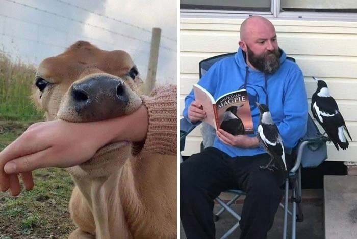 ‘Blessed Images’: 50 Times People Saw An Image So Pure, It Healed Their Soul A Bit