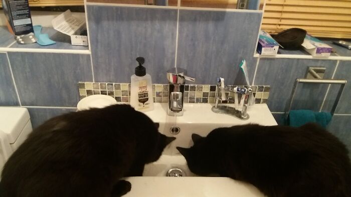 Make Sure To Wash Your Hands