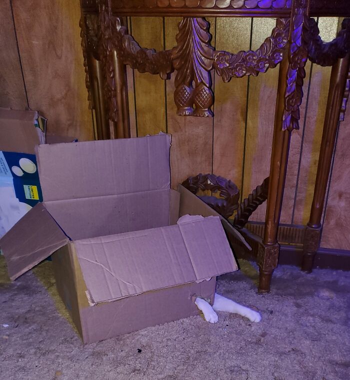 When The Recycling Takes Itself Out