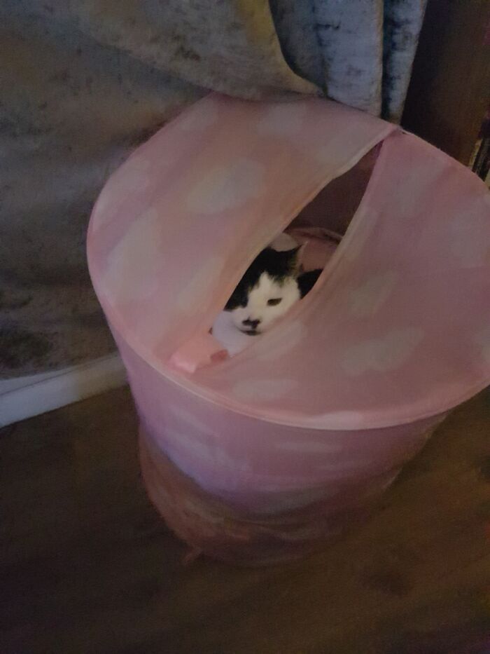 We Couldn't Find The Nut For Ages