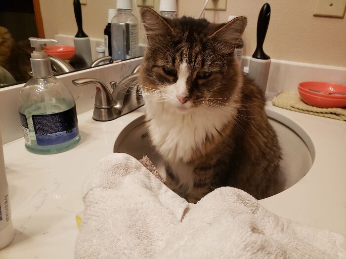 Waiting For Water So He Can Drink