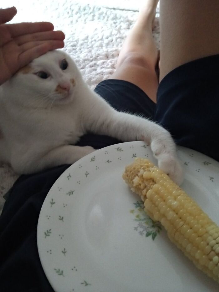 Corn