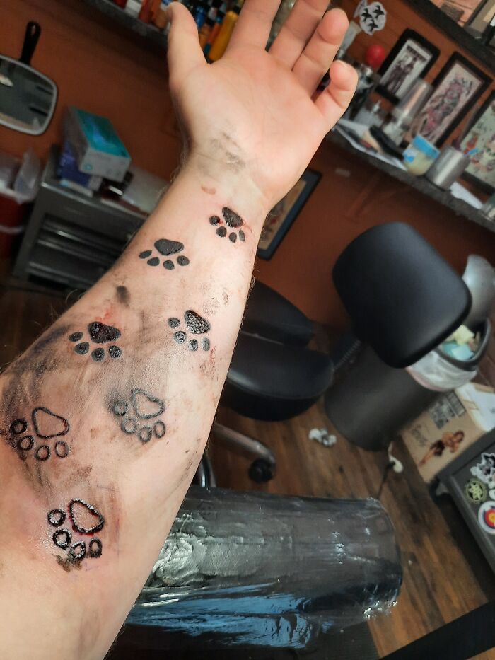 Tattoo featuring panda paw prints on a person's arm, displayed in a tattoo studio setting.