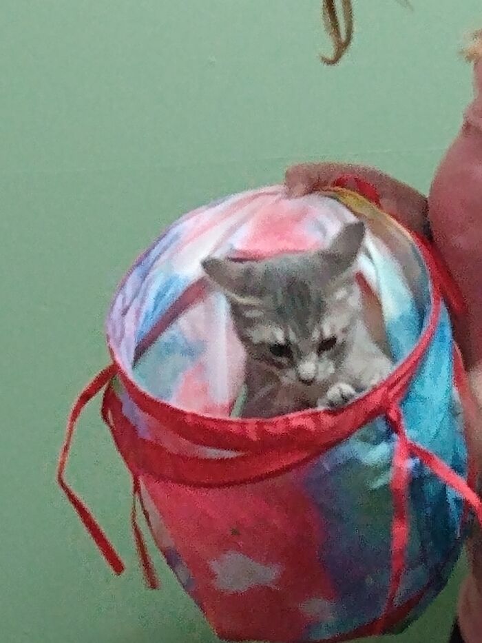 Bouche And His Tunnel