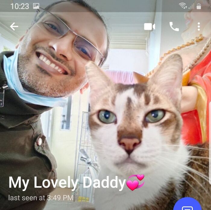 He's Annoyed Actually..my Neighbours Cat.lol!