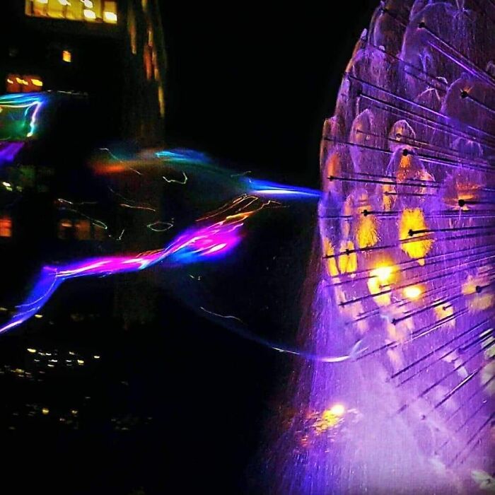 Bird & Dandelion. #bubbles Taken In Houston At The Dandelion Ftn