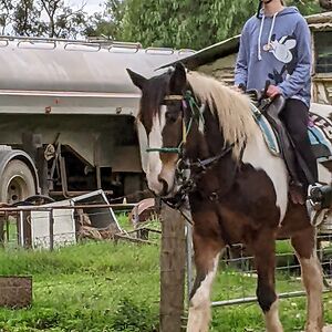 mirandakwatkins avatar