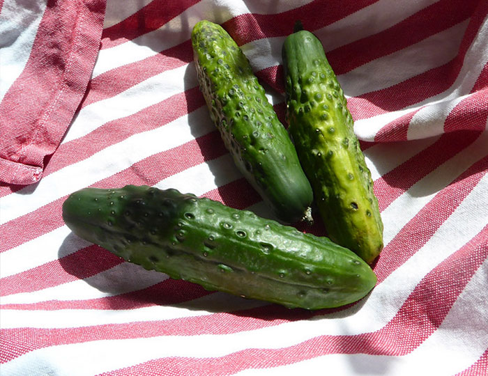 Someone Asks Cashiers To Share What Items Make Them Silently Judge People Who Buy Them, 50 Respond