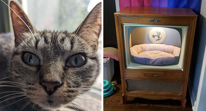 Dad Makes A Cat Bed For His Daughter’s Feline From An Old TV, And It Hasn’t Gone Unnoticed On The Socials