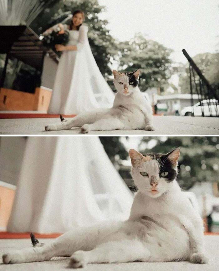 ¡La foto de boda perfecta!