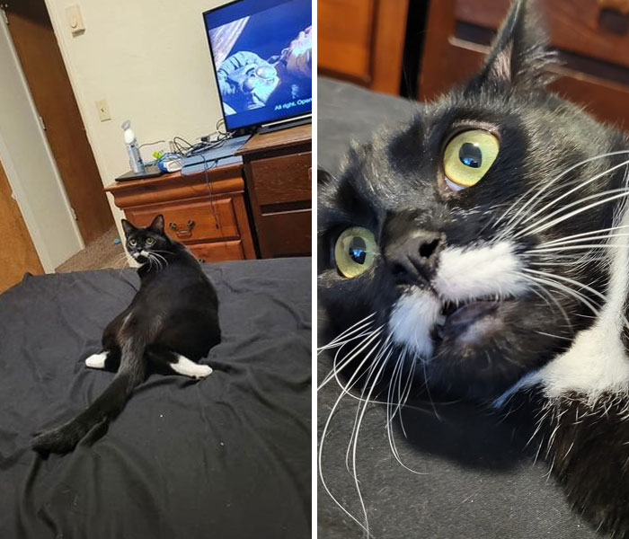 No solo hace caras raras, Rutabaga también se sienta de forma rara