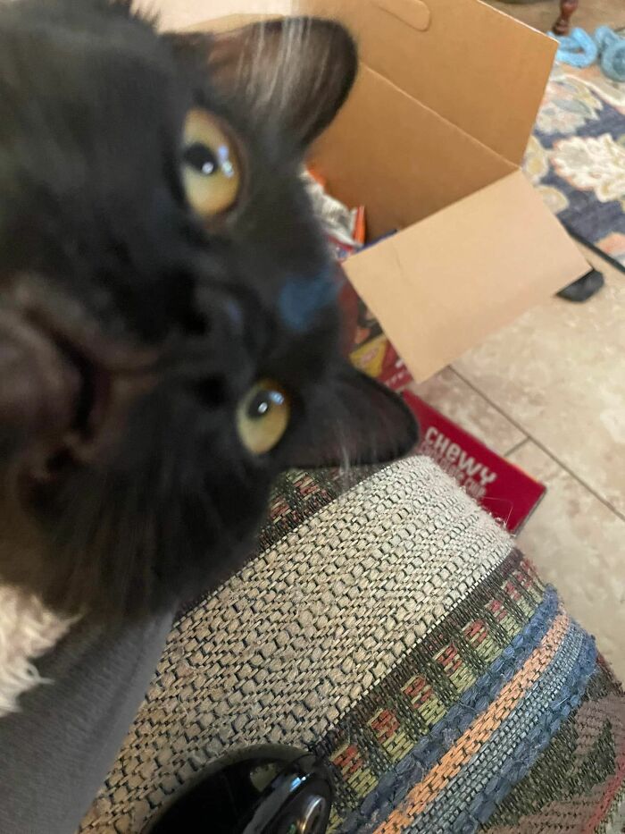 ¡Yo no lo hice, mamá! ¡No tienes pruebas!