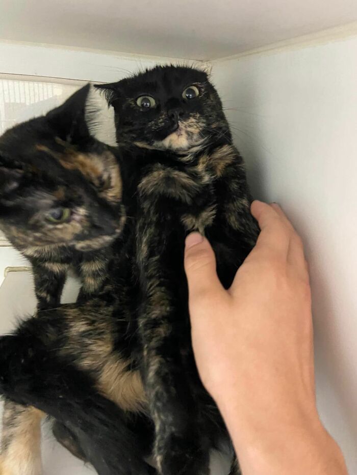 No quiere que lo toquen