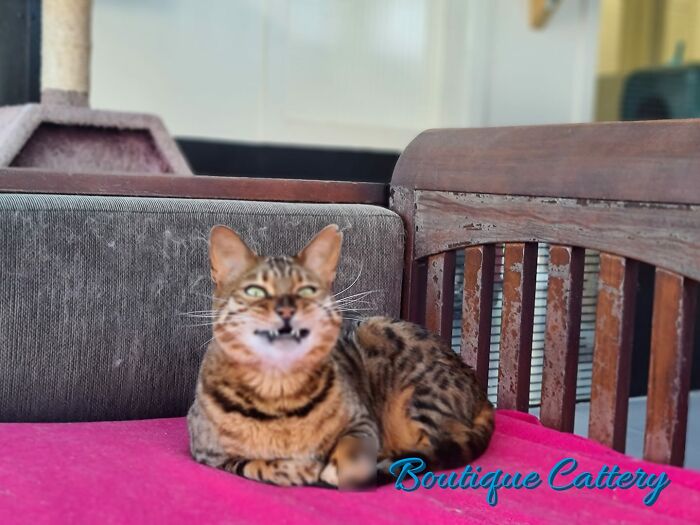 No sé qué sabe Disney que yo no sé