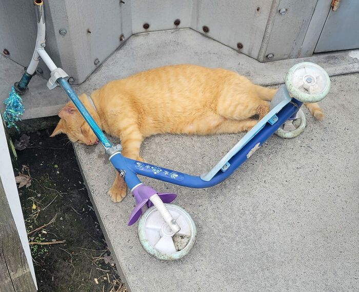 Clem Looks Like He Fell Off Of The Scooter