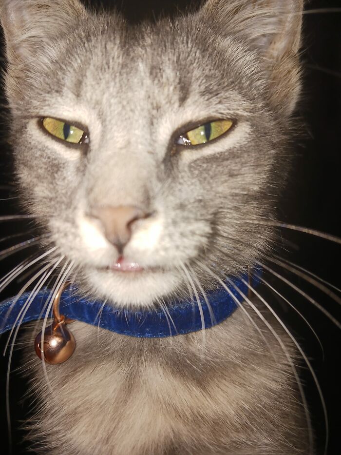 Milky Looking Sneaky