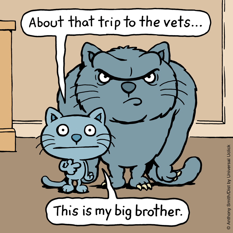 This Artist Perfectly Illustrates Your Cat's "Cattitude"-Interview With Artist