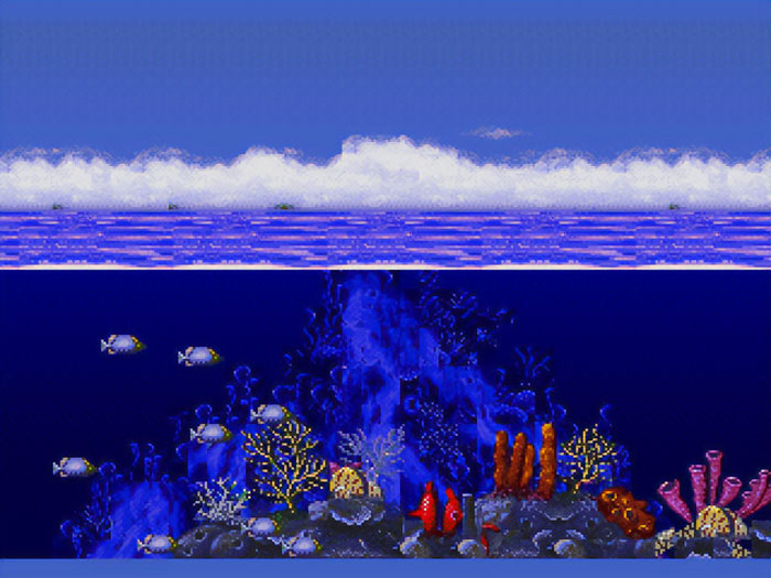 Ecco The Dolphin