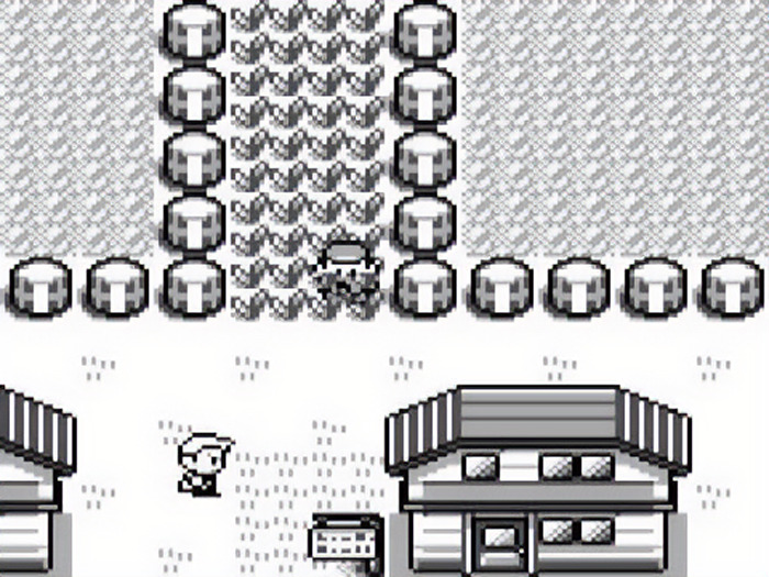 Pokemon - Red Version gameplay 
