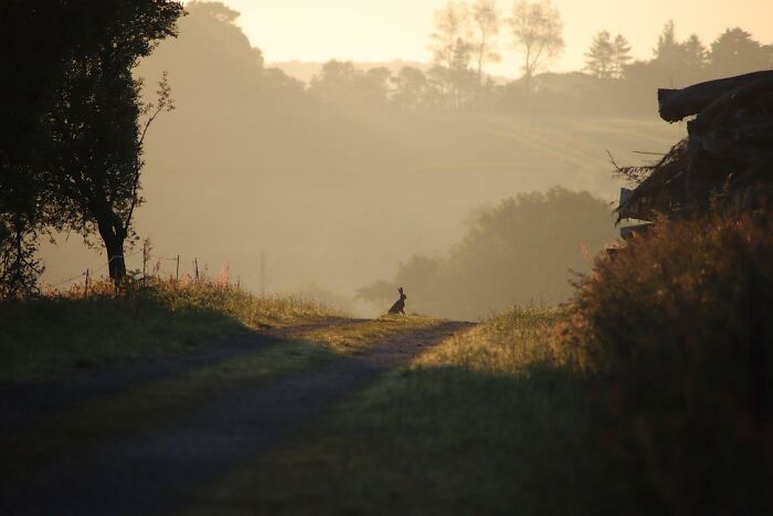 35 People Share The Creepiest And Weirdest Coincidences That Freaked Them Out