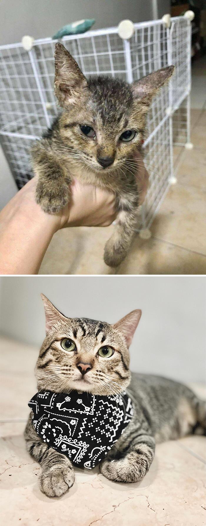 A Week Into Adoption vs. First Birthday
